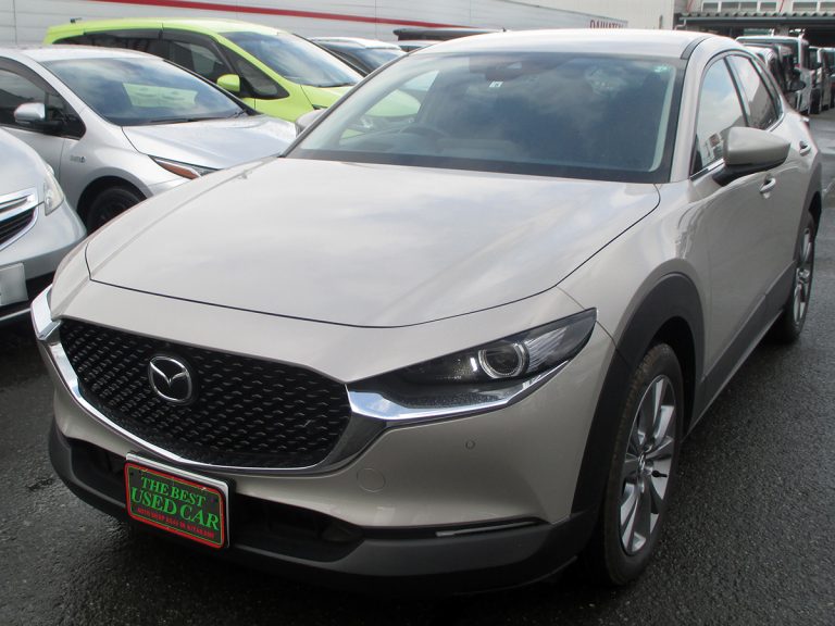 CX-30