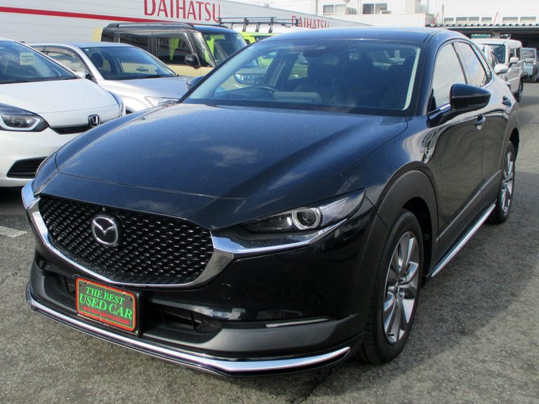 CX-30