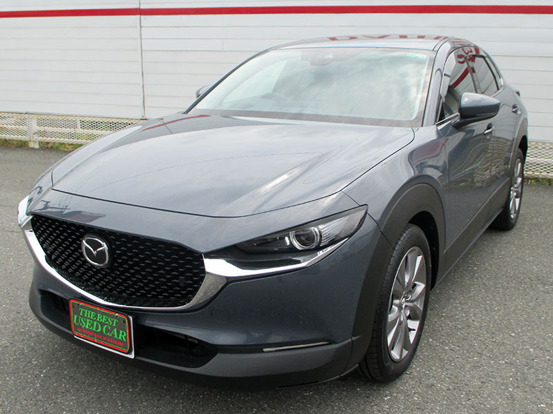 CX-30