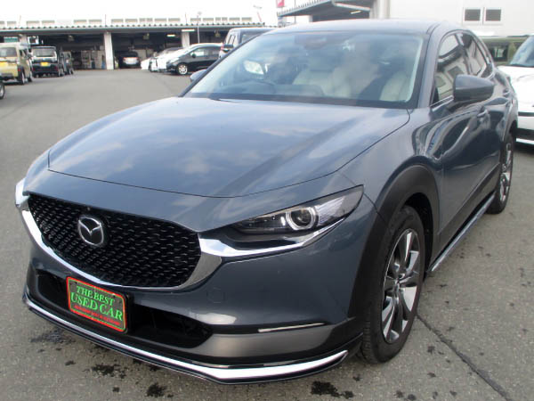 CX-30